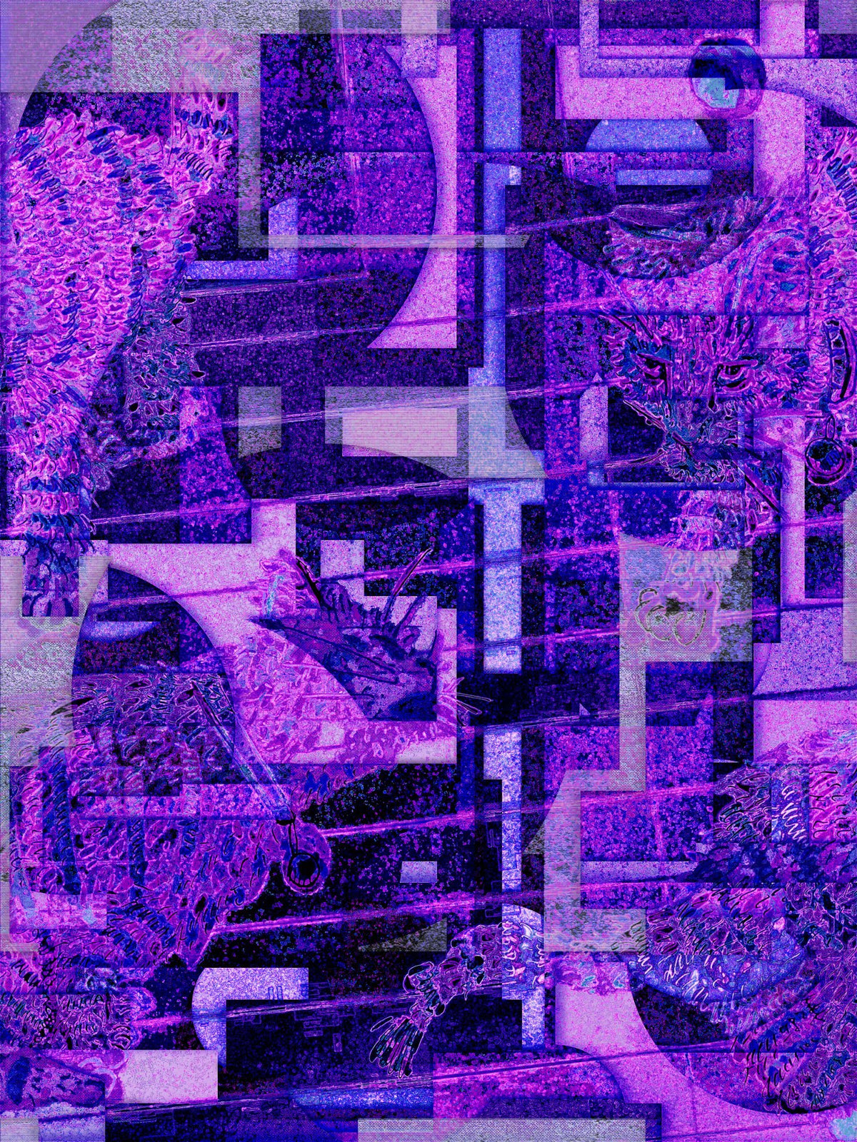 cccaaatttsss - nightvision