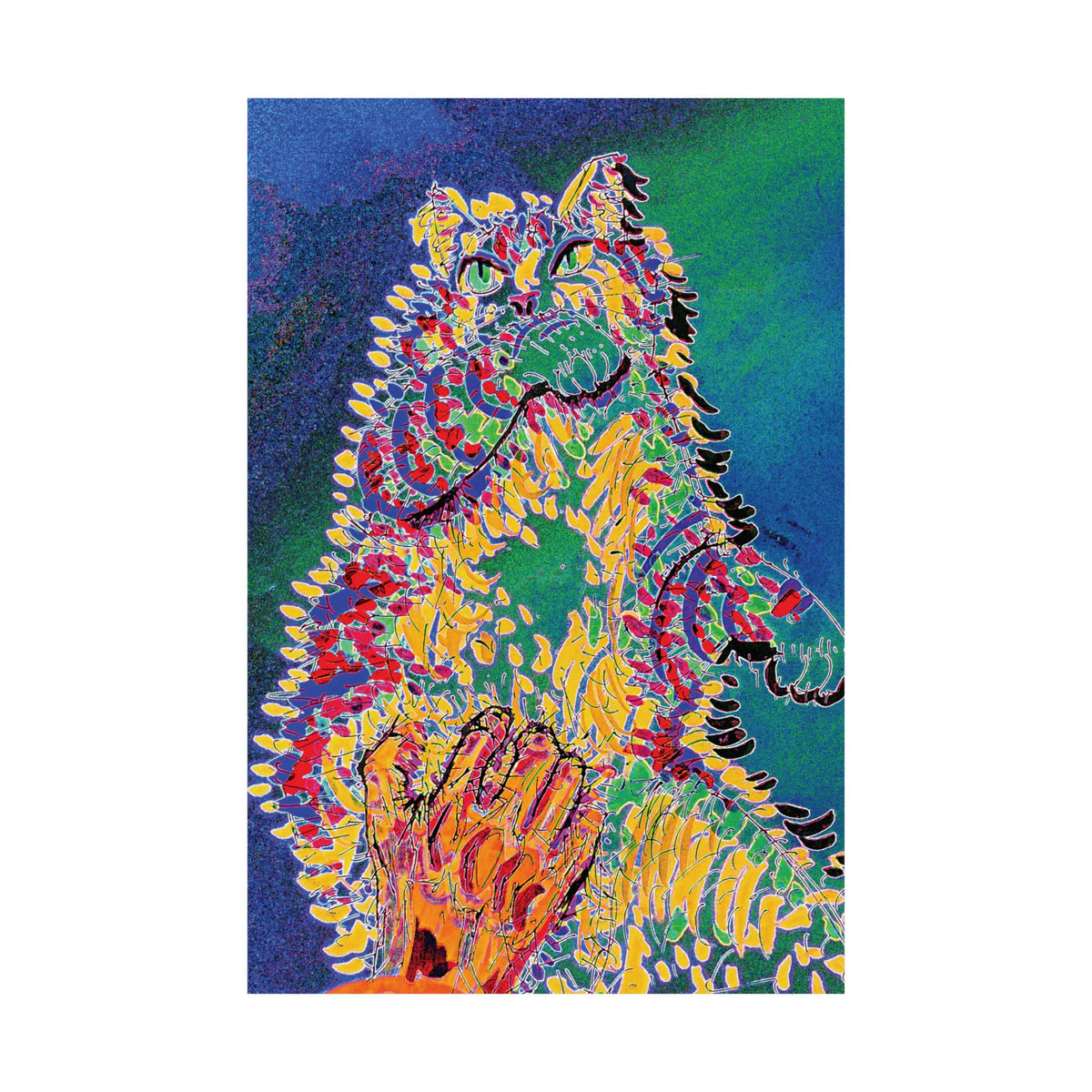 cccats - rainbow