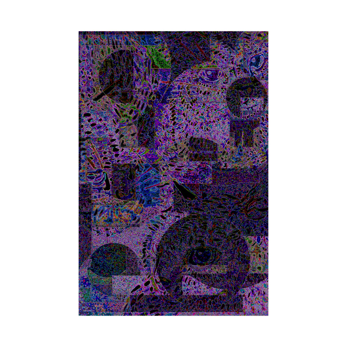 caaats - violet