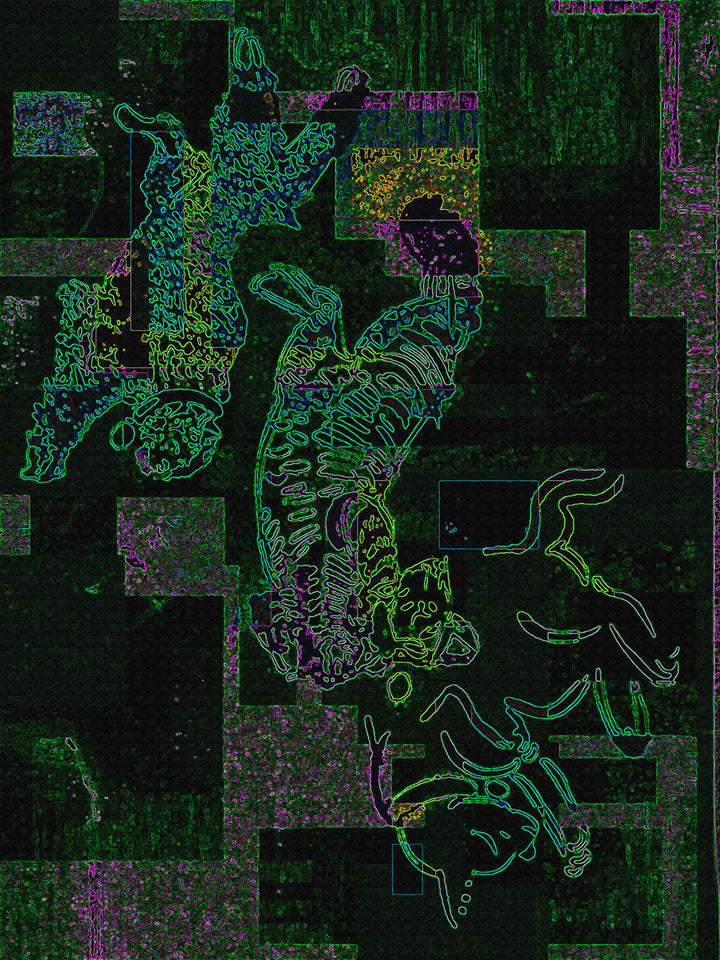 cattts - moss