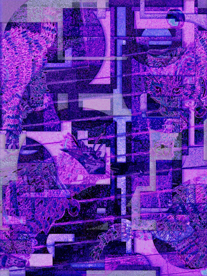 cccaaatttsss - nightvision