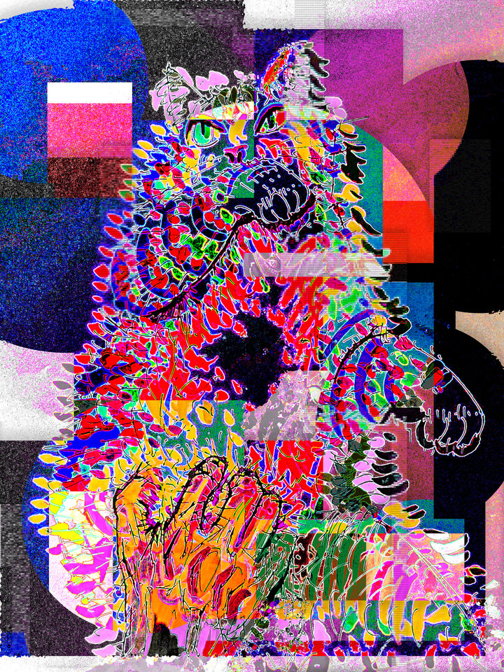 cccats - holly
