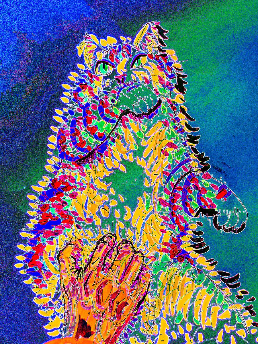 cccats - rainbow