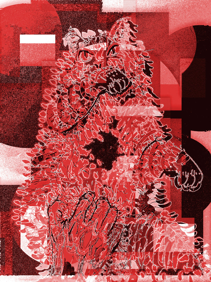 cccats - red